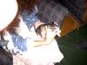 Roxy106.JPG