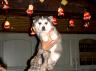 Roxy148.JPG
