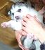 Roxy160.JPG
