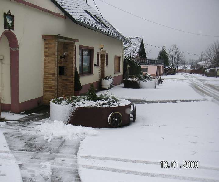 PICT0316.JPG