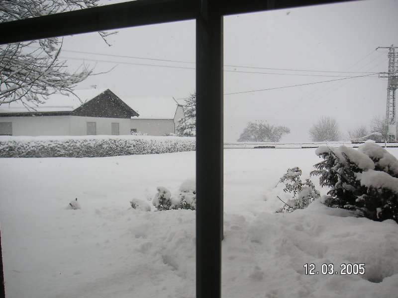 PICT1416.JPG