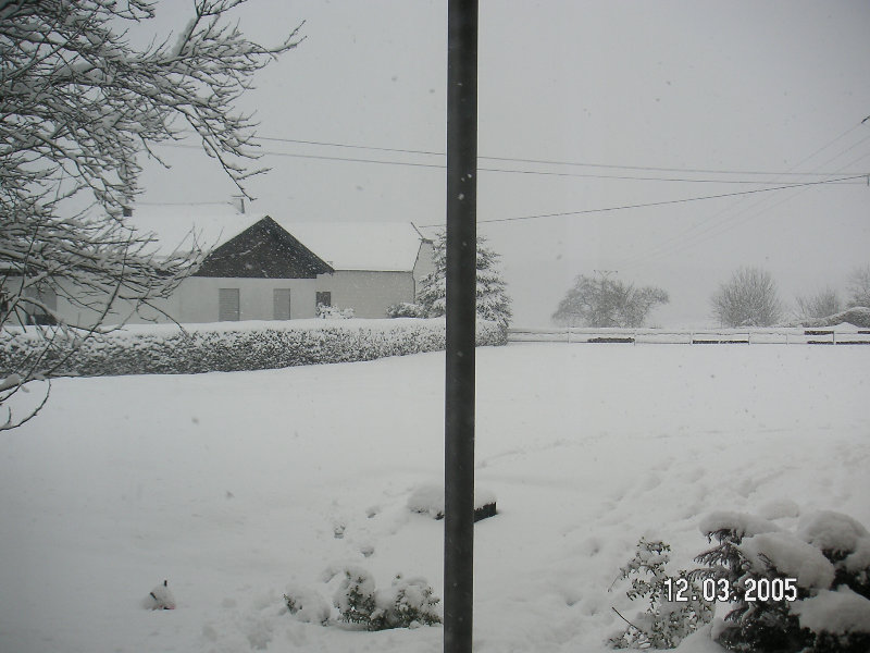 PICT1417.JPG