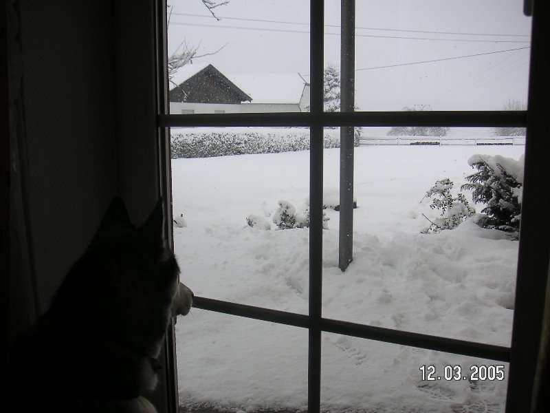 PICT1418.JPG